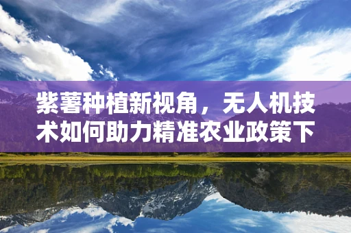 紫薯种植新视角，无人机技术如何助力精准农业政策下的高效种植？