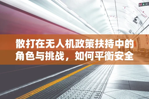 散打在无人机政策扶持中的角色与挑战，如何平衡安全与自由？