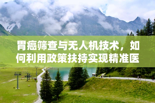 胃癌筛查与无人机技术，如何利用政策扶持实现精准医疗援助？