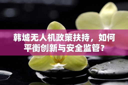 韩城无人机政策扶持，如何平衡创新与安全监管？