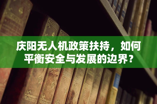 庆阳无人机政策扶持，如何平衡安全与发展的边界？