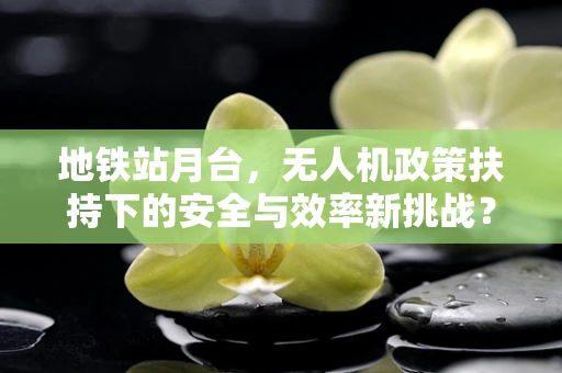 地铁站月台，无人机政策扶持下的安全与效率新挑战？