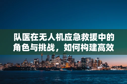 队医在无人机应急救援中的角色与挑战，如何构建高效医疗支持体系？