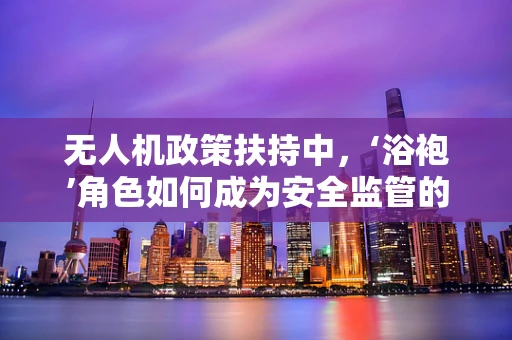 无人机政策扶持中，‘浴袍’角色如何成为安全监管的隐形守护者？
