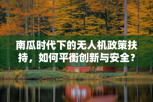 南瓜时代下的无人机政策扶持，如何平衡创新与安全？