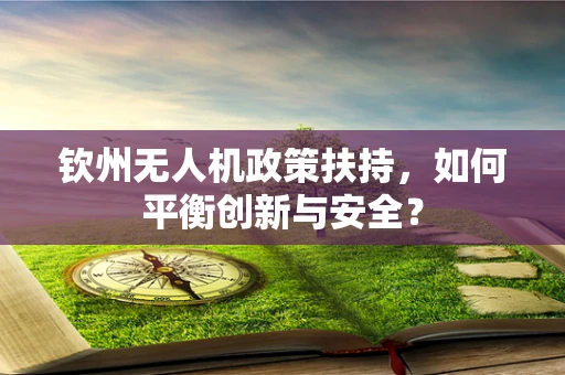 钦州无人机政策扶持，如何平衡创新与安全？