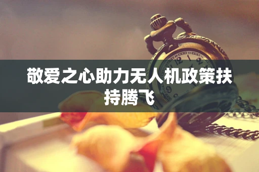 敬爱之心助力无人机政策扶持腾飞