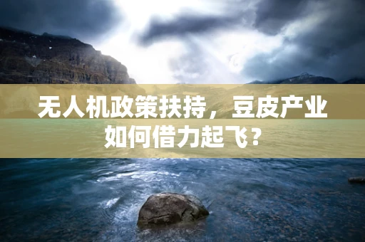 无人机政策扶持，豆皮产业如何借力起飞？