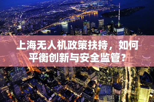 上海无人机政策扶持，如何平衡创新与安全监管？