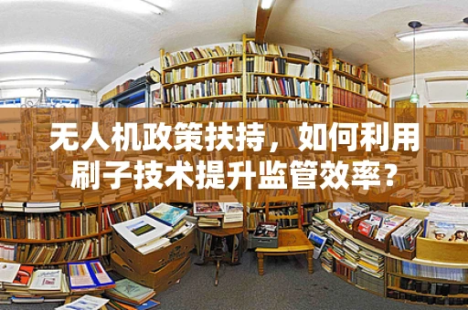 无人机政策扶持，如何利用刷子技术提升监管效率？