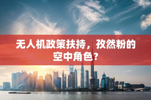 无人机政策扶持，孜然粉的空中角色？
