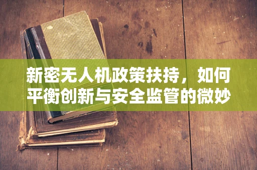 新密无人机政策扶持，如何平衡创新与安全监管的微妙平衡？
