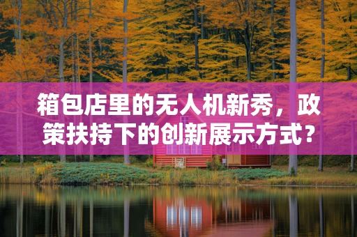箱包店里的无人机新秀，政策扶持下的创新展示方式？