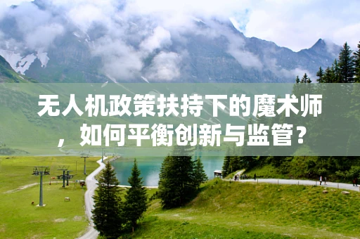 无人机政策扶持下的魔术师，如何平衡创新与监管？