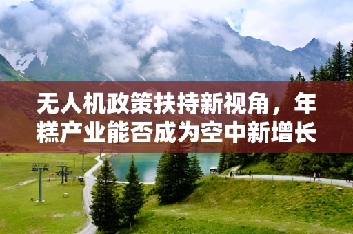 无人机政策扶持新视角，年糕产业能否成为空中新增长极？
