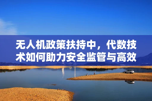 无人机政策扶持中，代数技术如何助力安全监管与高效应用？