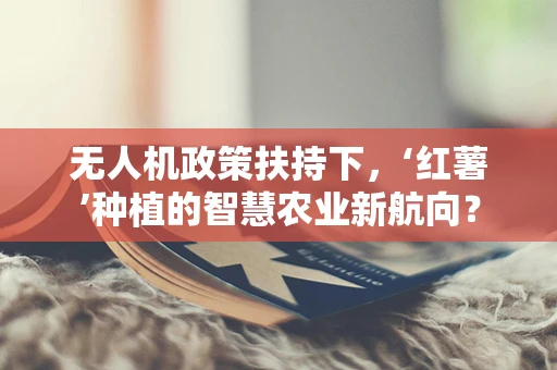 无人机政策扶持下，‘红薯’种植的智慧农业新航向？