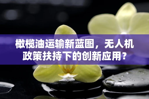 橄榄油运输新蓝图，无人机政策扶持下的创新应用？