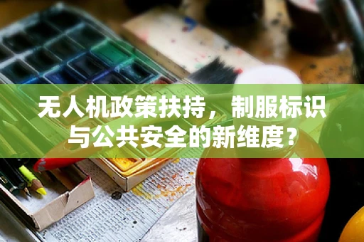 无人机政策扶持，制服标识与公共安全的新维度？