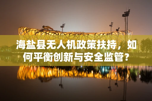 海盐县无人机政策扶持，如何平衡创新与安全监管？