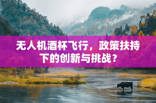 无人机酒杯飞行，政策扶持下的创新与挑战？