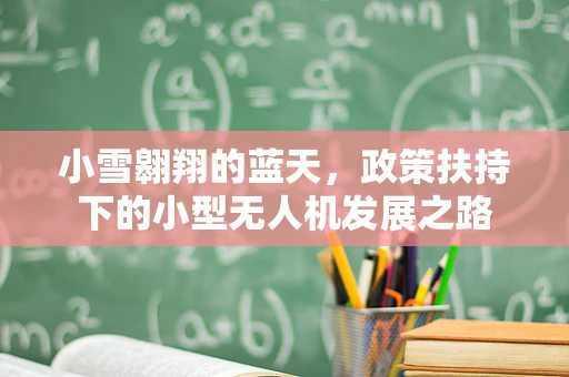 小雪翱翔的蓝天，政策扶持下的小型无人机发展之路