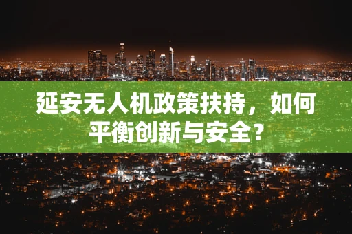 延安无人机政策扶持，如何平衡创新与安全？