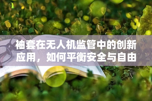 袖套在无人机监管中的创新应用，如何平衡安全与自由？