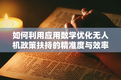 如何利用应用数学优化无人机政策扶持的精准度与效率？