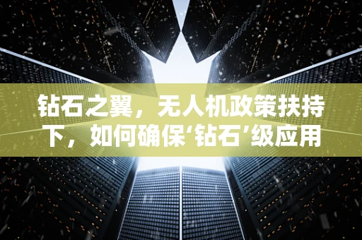 钻石之翼，无人机政策扶持下，如何确保‘钻石’级应用的安全与高效？