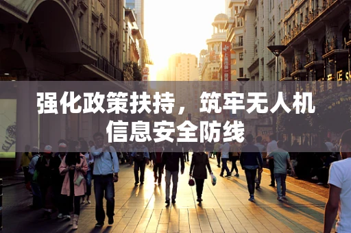 强化政策扶持，筑牢无人机信息安全防线