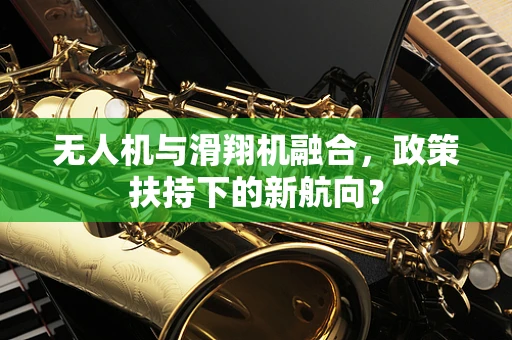 无人机与滑翔机融合，政策扶持下的新航向？
