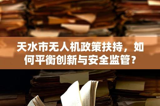 天水市无人机政策扶持，如何平衡创新与安全监管？