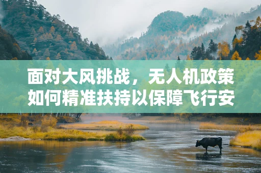面对大风挑战，无人机政策如何精准扶持以保障飞行安全？