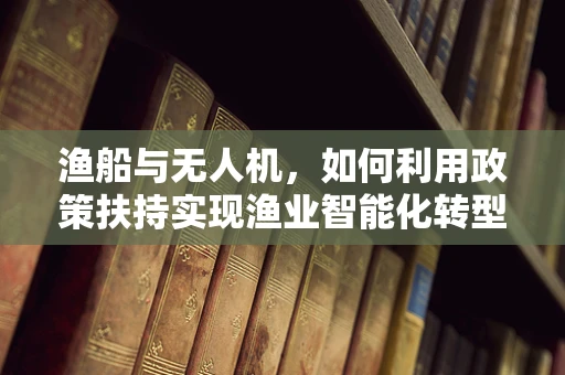 渔船与无人机，如何利用政策扶持实现渔业智能化转型？