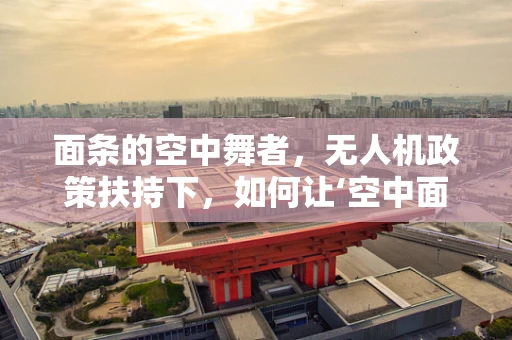 面条的空中舞者，无人机政策扶持下，如何让‘空中面条’安全又美味地送达？
