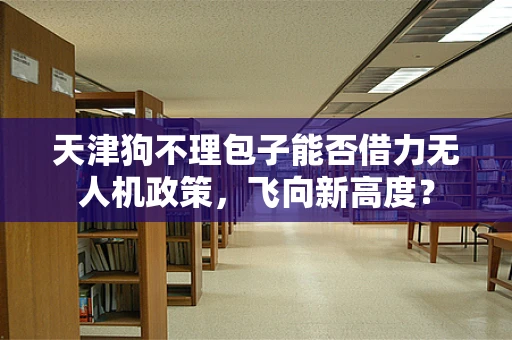 天津狗不理包子能否借力无人机政策，飞向新高度？