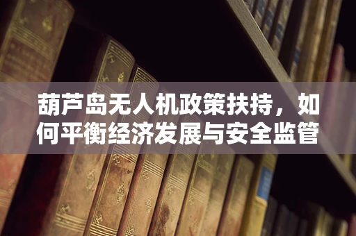 葫芦岛无人机政策扶持，如何平衡经济发展与安全监管？