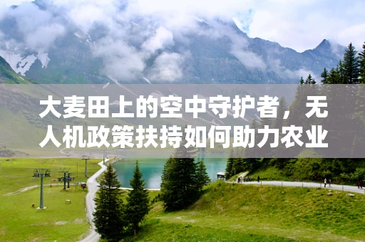 大麦田上的空中守护者，无人机政策扶持如何助力农业精准管理？