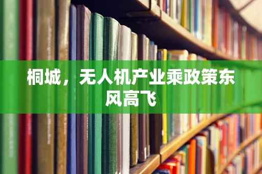 桐城，无人机产业乘政策东风高飞