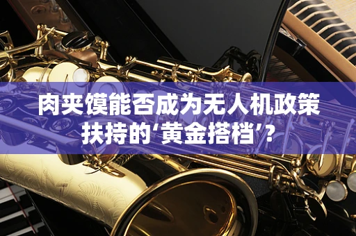 肉夹馍能否成为无人机政策扶持的‘黄金搭档’？
