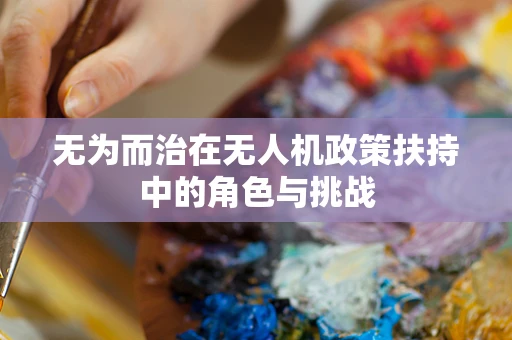 无为而治在无人机政策扶持中的角色与挑战