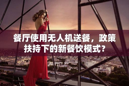 餐厅使用无人机送餐，政策扶持下的新餐饮模式？