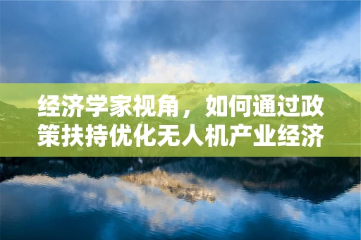 经济学家视角，如何通过政策扶持优化无人机产业经济布局？