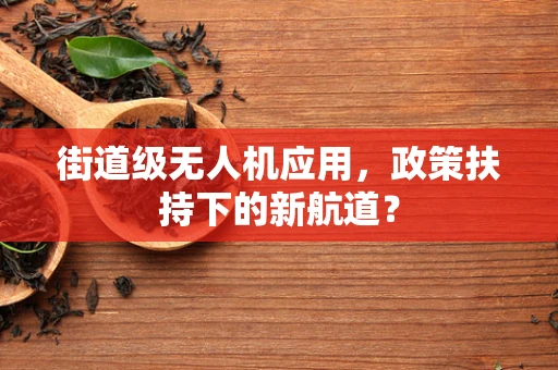 街道级无人机应用，政策扶持下的新航道？