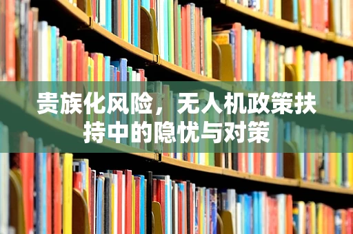 贵族化风险，无人机政策扶持中的隐忧与对策