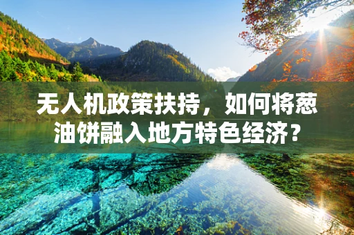 无人机政策扶持，如何将葱油饼融入地方特色经济？