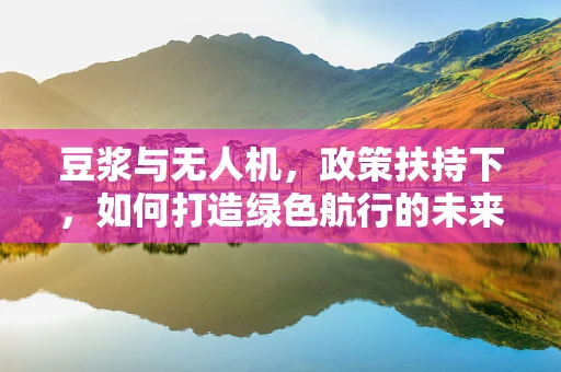 豆浆与无人机，政策扶持下，如何打造绿色航行的未来？