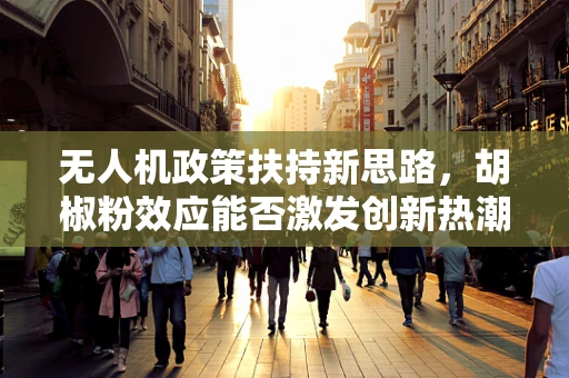 无人机政策扶持新思路，胡椒粉效应能否激发创新热潮？