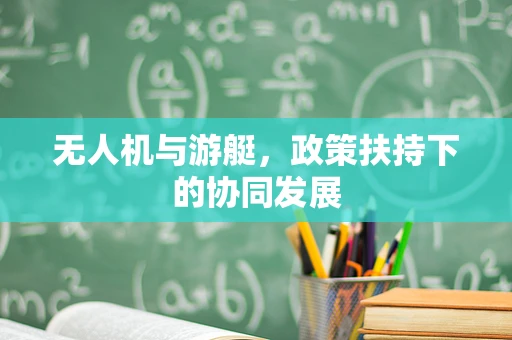 无人机与游艇，政策扶持下的协同发展